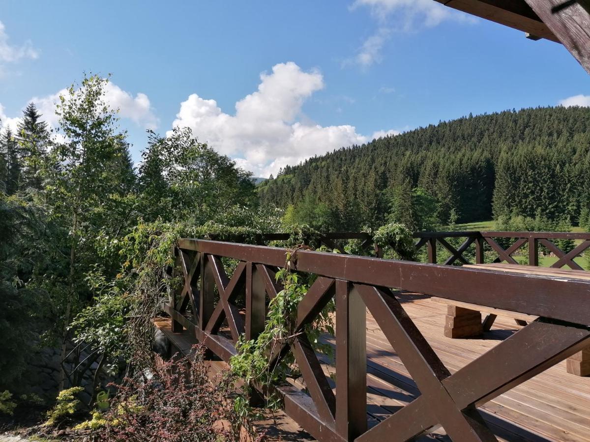 Gosciniec Janowa Gora - Agroturystyka Stronie Śląskie Esterno foto