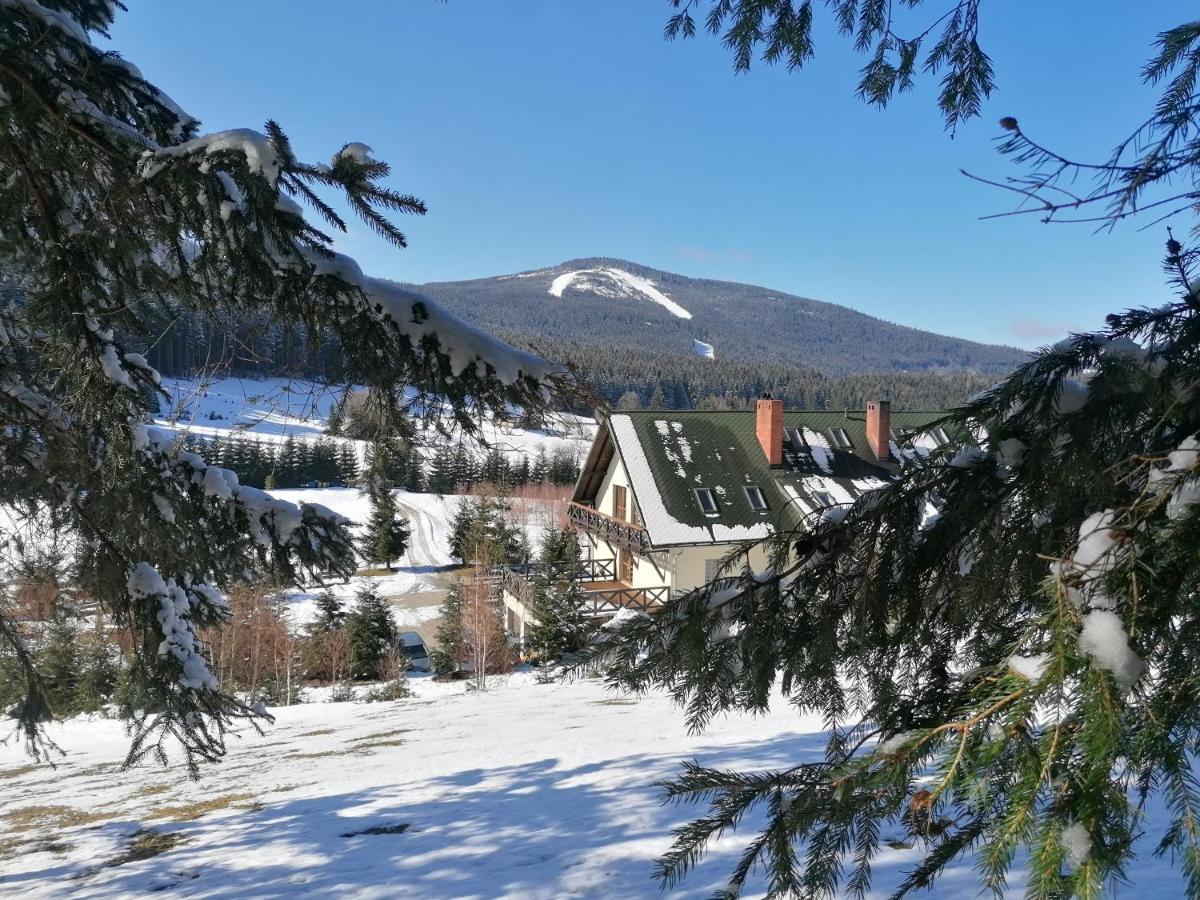 Gosciniec Janowa Gora - Agroturystyka Stronie Śląskie Esterno foto