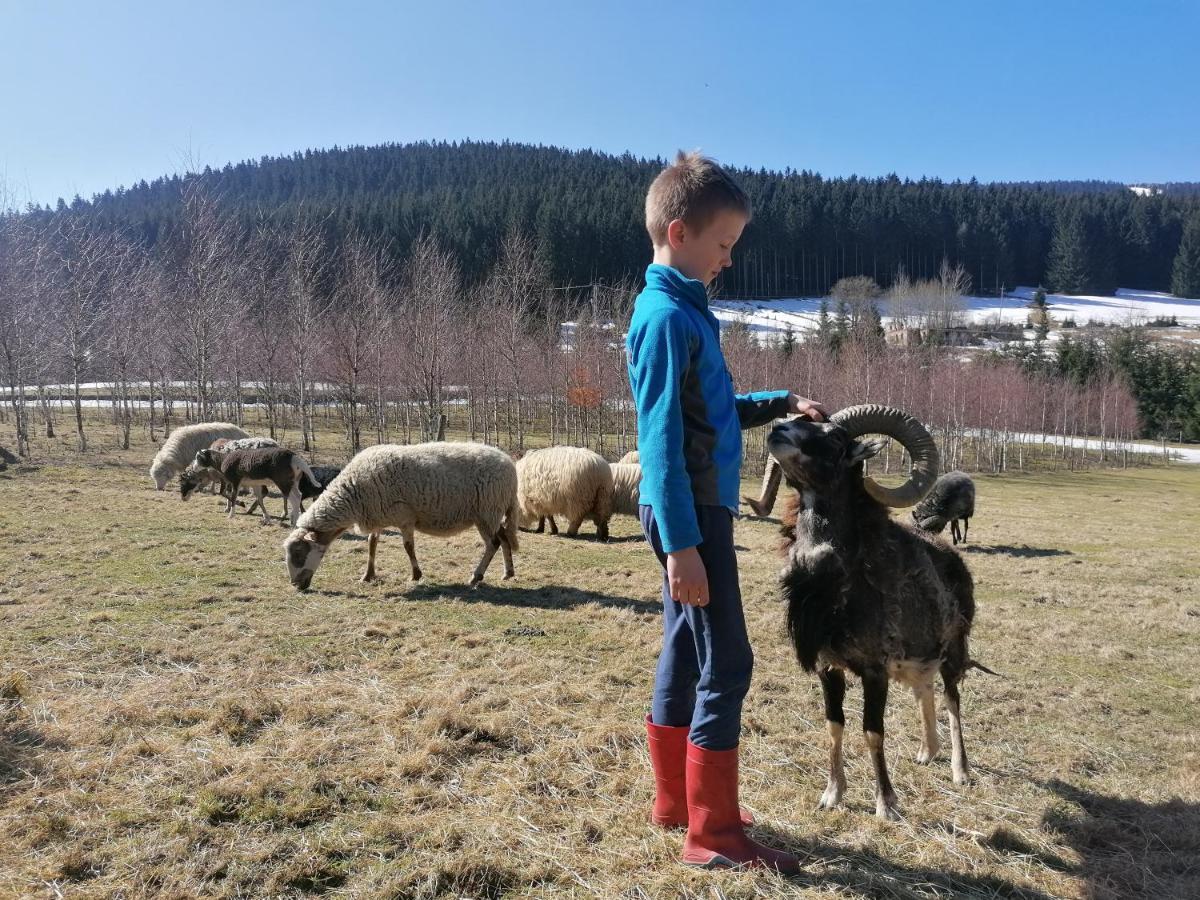 Gosciniec Janowa Gora - Agroturystyka Stronie Śląskie Esterno foto