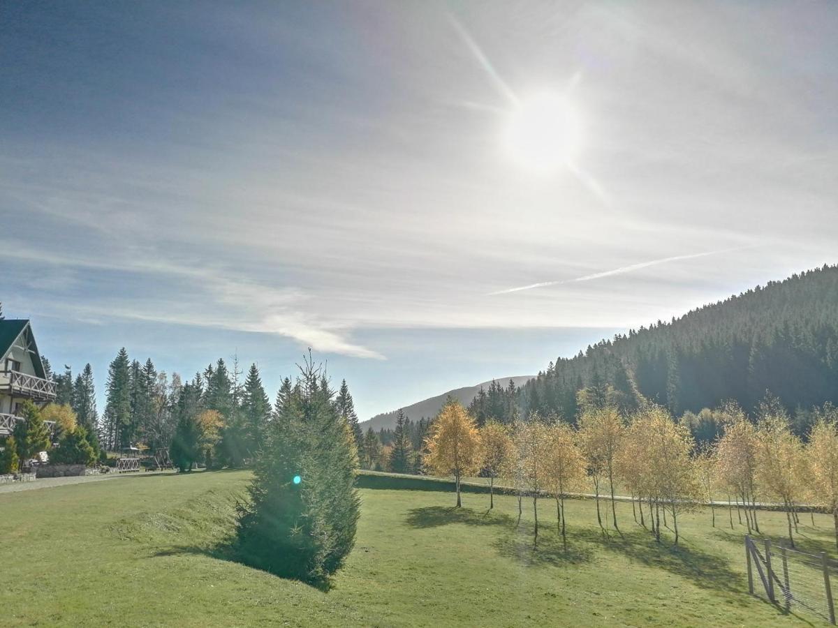 Gosciniec Janowa Gora - Agroturystyka Stronie Śląskie Esterno foto
